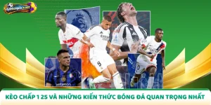 Kèo Chấp 1 25 Và Những Kiến Thức Bóng Đá Quan Trọng Nhất