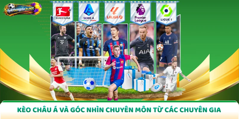 Kèo Châu Á Và Góc Nhìn Chuyên Môn Từ Các Chuyên Gia