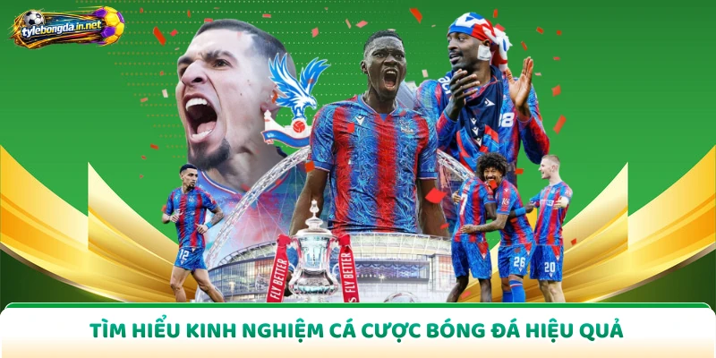 Tìm hiểu kinh nghiệm cá cược bóng đá hiệu quả