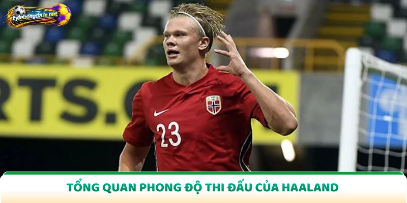 Tổng quan phong độ thi đấu của Haaland